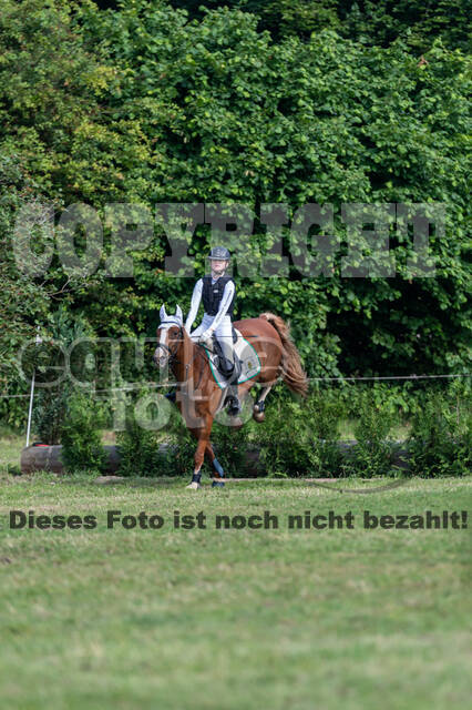 Goldene Schärpe 2021 - Ponys