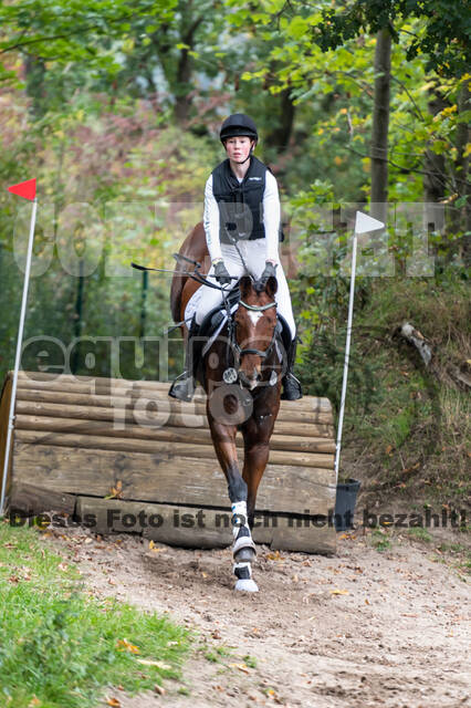 Goldene Schärpe 2020 - Pferde