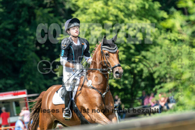 Goldene Schärpe 2021 - Ponys