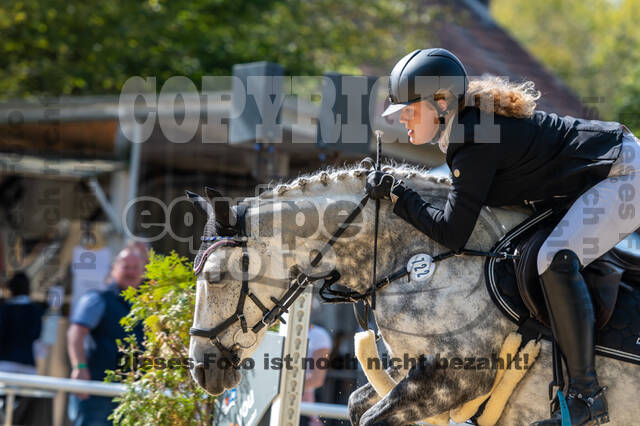 RFV Dinslaken-Hiesfeld (Herbstturnier)