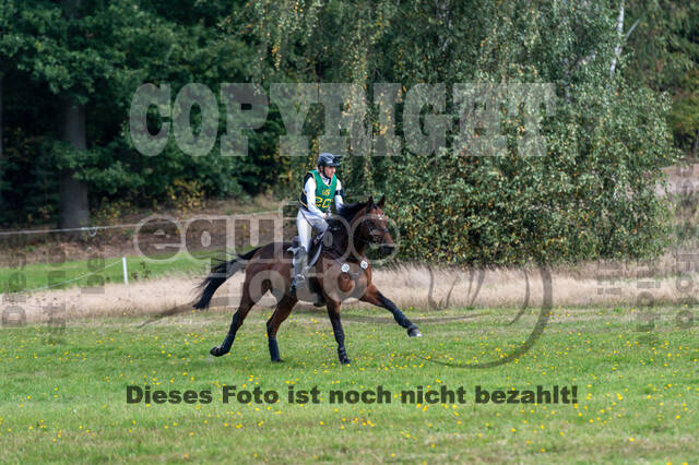 Deutsche Meisterschaft Vielseitigkeit (Luhmühlen)