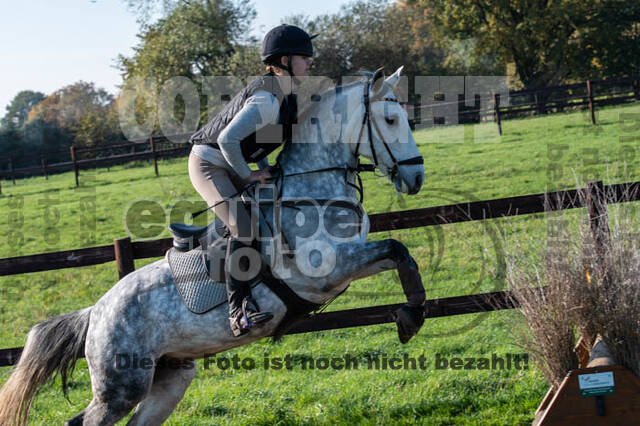 Vielseitigkeitslehrgang mit Jürg Kurbel (9.+10.11.2019)