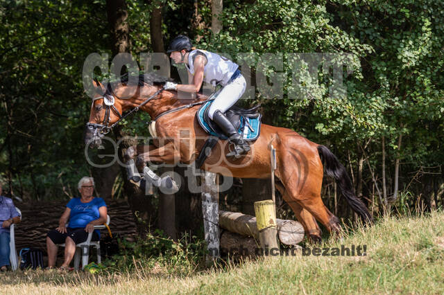 Late-Entry Vielseitigkeit Hamminkeln/Wesel (01.+02.08.2020)