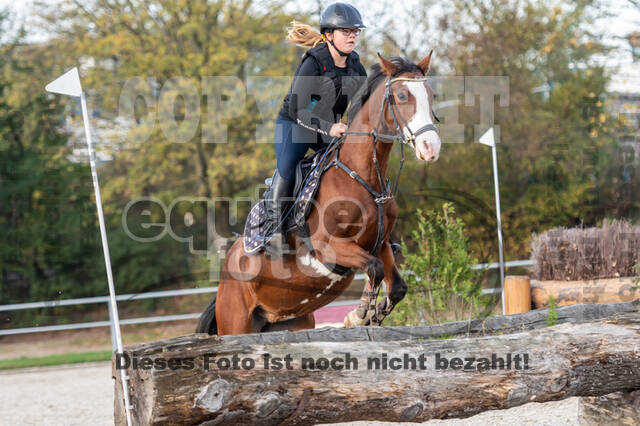 IGV Lehrgang der Sieger der Cups mit Frank Ostholt