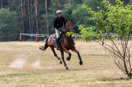 Late-Entry Vielseitigkeit Hamminkeln/Wesel (01.+02.08.2020)
