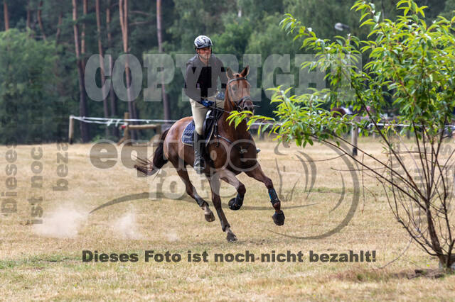 Late-Entry Vielseitigkeit Hamminkeln/Wesel (01.+02.08.2020)