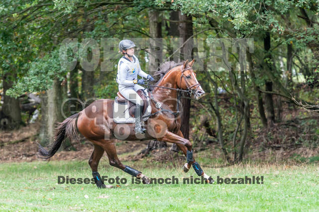 Vielseitigkeit RSV Wesel Obrighoven (26.+27.09.2020)