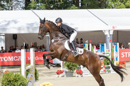 FEI European Championship Eventing 2017