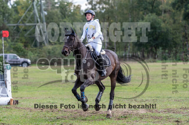Vielseitigkeit RSV Wesel Obrighoven (26.+27.09.2020)