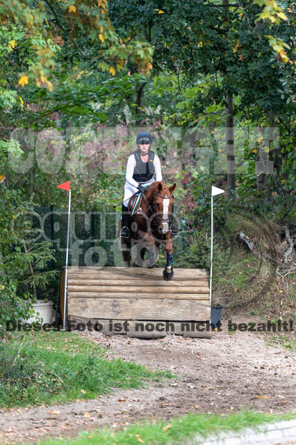 Goldene Schärpe 2020 - Pferde