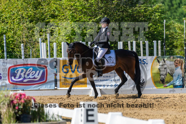 Westerstede Horse Trials 2021