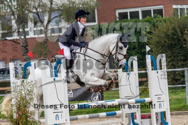 Goldene Schärpe 2020 - Pferde