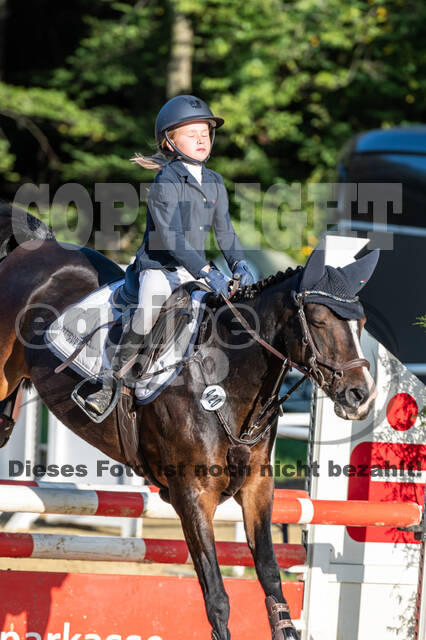 RFV Dinslaken-Hiesfeld (Herbstturnier)