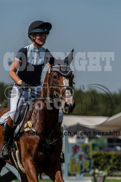 Kronenberg - De Peelbergen (August 2020)