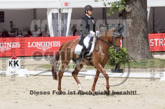 FEI European Championship Eventing 2017