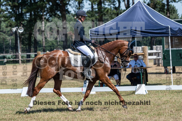 Kronenberg - De Peelbergen (August 2020)