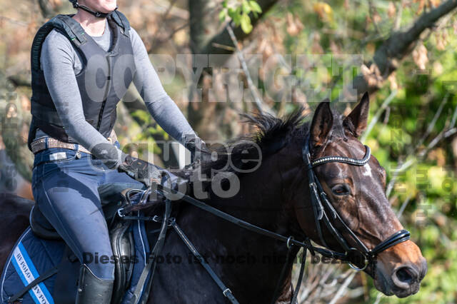IGV Lehrgang der Sieger der Cups mit Frank Ostholt