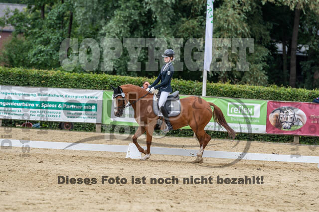 Goldene Schärpe 2021 - Ponys