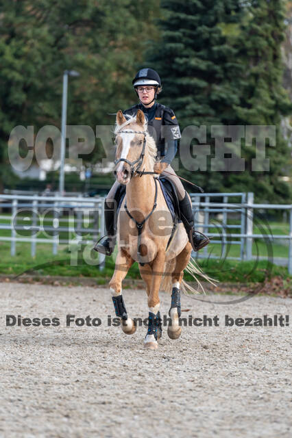 IGV Lehrgang der Sieger der Cups mit Frank Ostholt