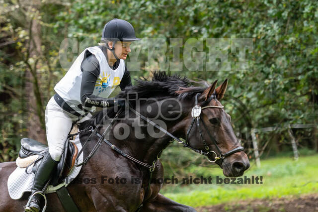 Vielseitigkeit RSV Wesel Obrighoven (26.+27.09.2020)