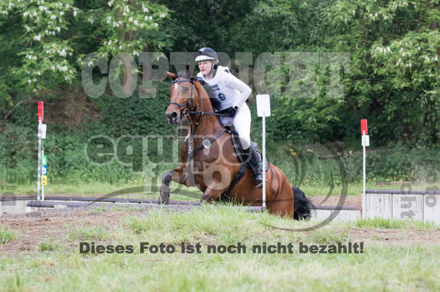 Vielseitigkeitsturnier ZRFV von Lützow Hamminkeln