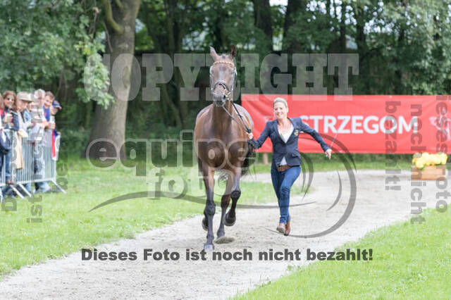 FEI European Championship Eventing 2017