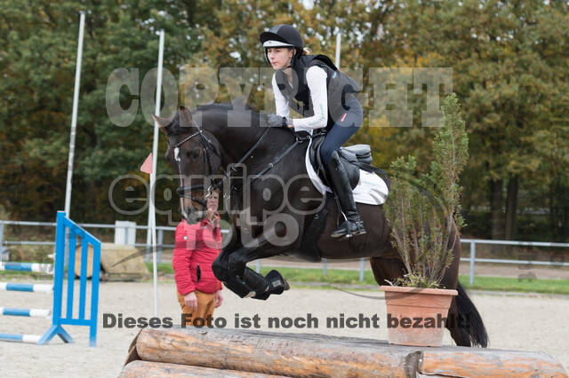 IGV Lehrgang der Sieger der Cups mit Frank Ostholt