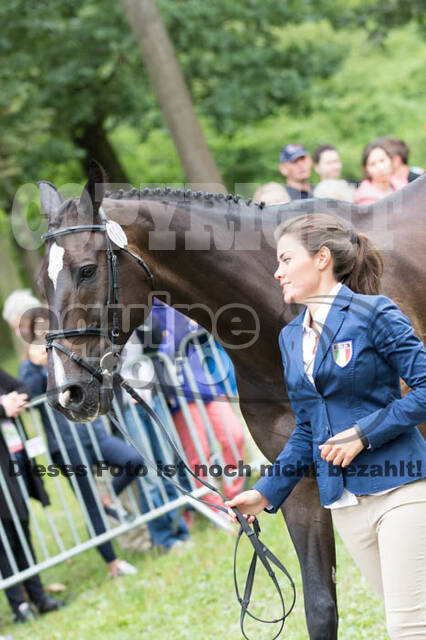 FEI European Championship