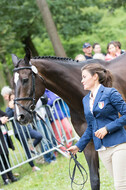 FEI European Championship