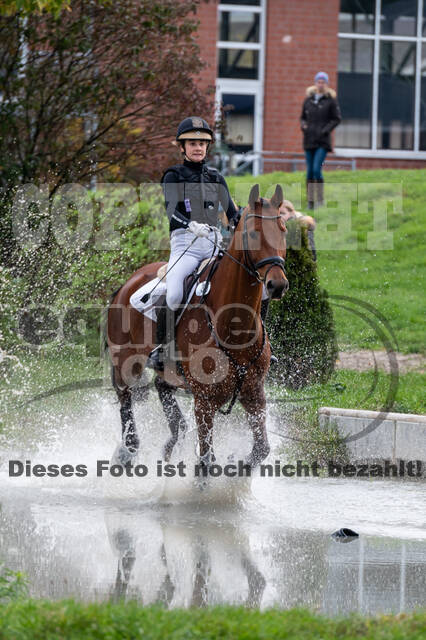 Goldene Schärpe 2020 - Pferde