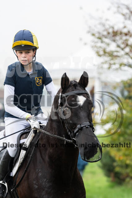 Goldene Schärpe 2020 - Pferde