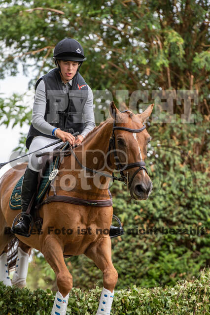Bonn-Rodderberg Late-Entry-Vielseitigkeit (30.06.2020)