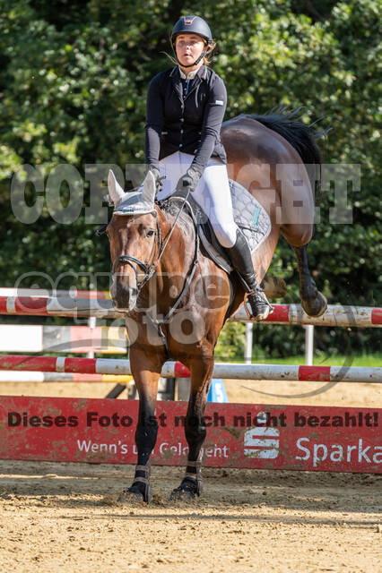 RFV Dinslaken-Hiesfeld (Herbstturnier)