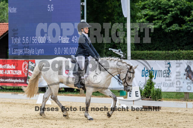 Goldene Schärpe 2021 - Ponys