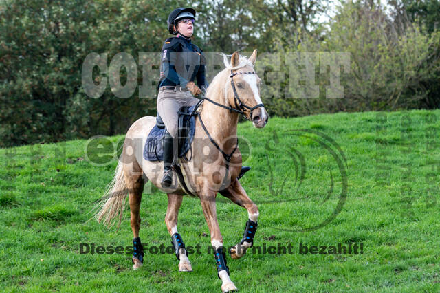 IGV Lehrgang der Sieger der Cups mit Frank Ostholt