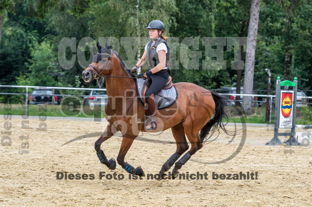 Hunter Geländetraining 10.07.2021 (Sonsbeck)