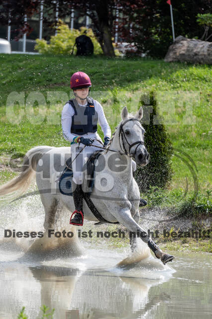 Late-Entry-Vielseitigkeit Langenfeld (06.+07.07.2020)