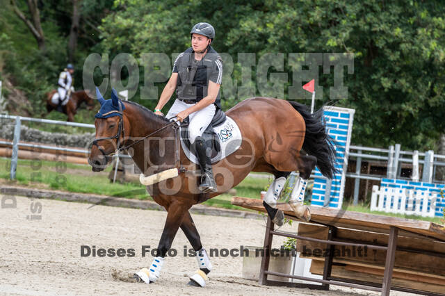 Late-Entry-Vielseitigkeit Langenfeld (11.+13./14.06.2020)