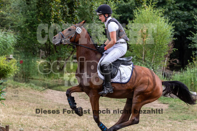 Late-Entry Vielseitigkeit Hamminkeln/Wesel (01.+02.08.2020)