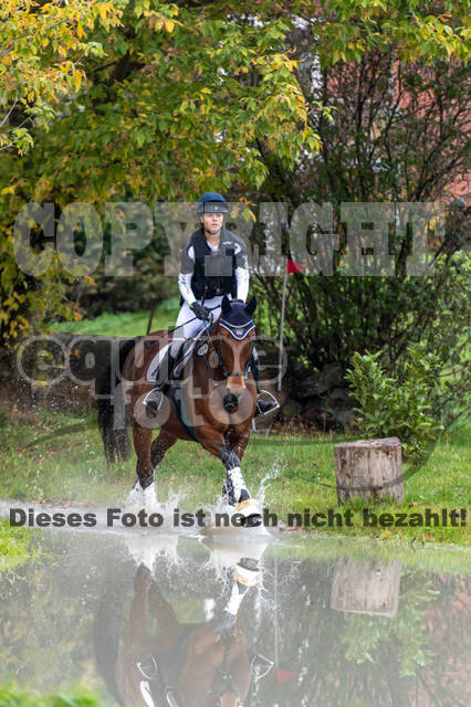 Goldene Schärpe 2020 - Pferde