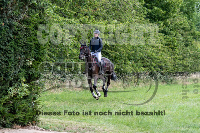 Bonn-Rodderberg Late-Entry-Vielseitigkeit (30.06.2020)
