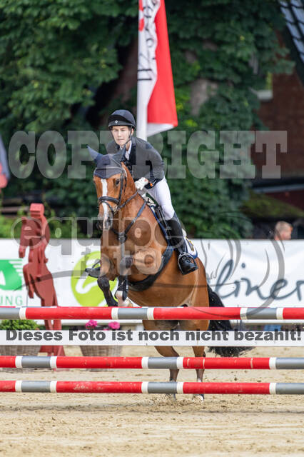 Goldene Schärpe 2021 - Ponys