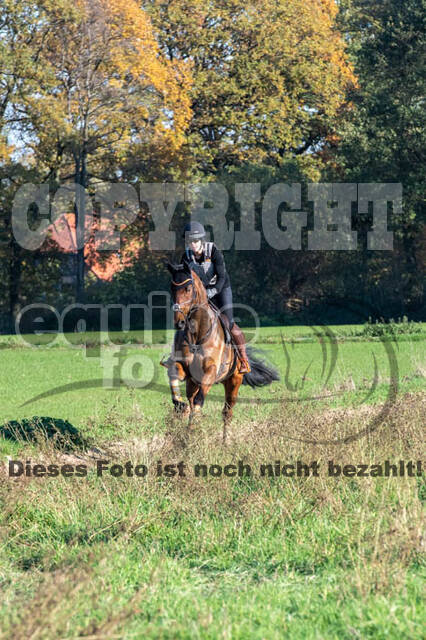 Vielseitigkeitslehrgang mit Jürg Kurbel (9.+10.11.2019)