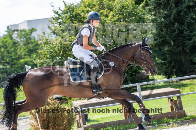 Late-Entry-Vielseitigkeit Langenfeld (06.+07.07.2020)