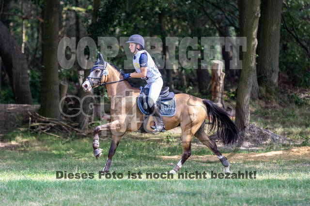 Late-Entry Vielseitigkeit Hamminkeln/Wesel (01.+02.08.2020)