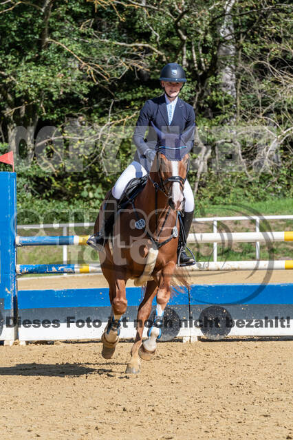 RFV Dinslaken-Hiesfeld (Herbstturnier)