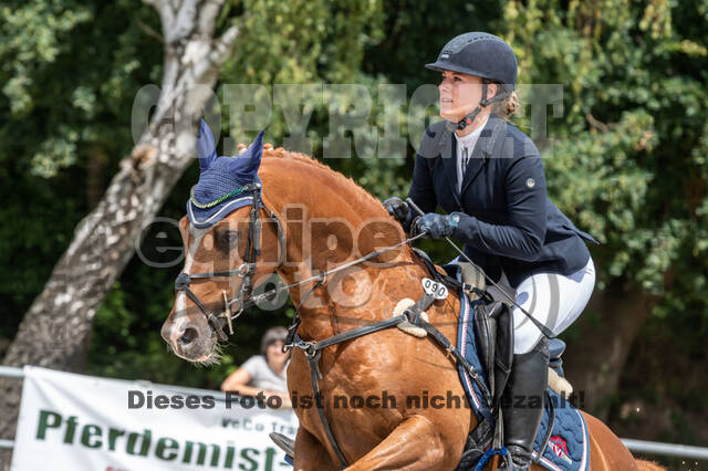 Late-Entry-Vielseitigkeit Langenfeld (06.+07.07.2020)