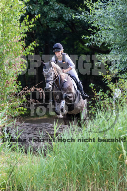 Late-Entry Vielseitigkeit Hamminkeln/Wesel (01.+02.08.2020)