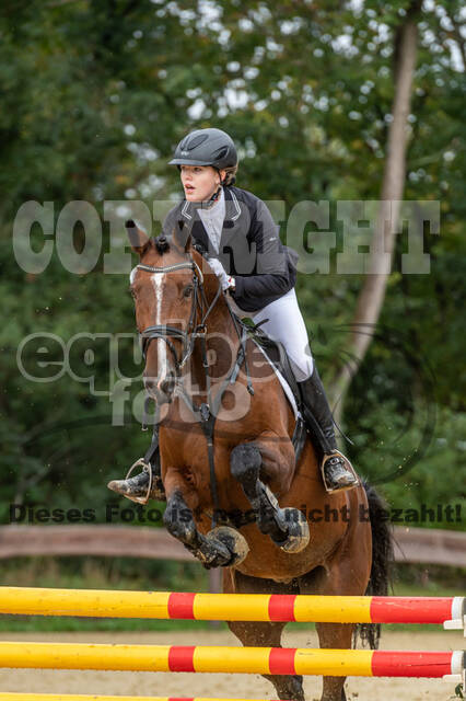 Vielseitigkeit RSV Wesel Obrighoven (26.+27.09.2020)