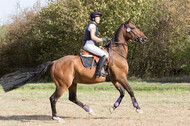 IGV Kleve